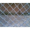 Galvanized Beautiful Grid Steel Wire Mesh for Fence